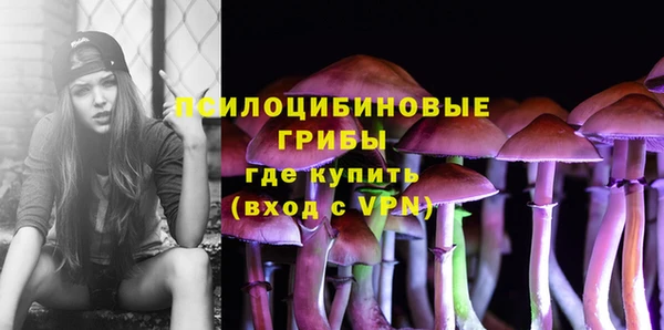 тгк Алексин