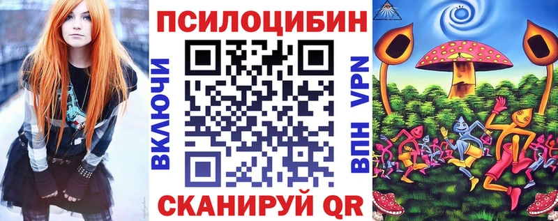Галлюциногенные грибы Psilocybe  Лаишево 
